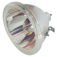 EIKI LC-XGA971 Lampa bez modułu