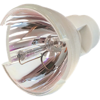 INFOCUS SP-LAMP-066 Lampa bez modułu