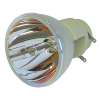 OPTOMA BL-FP190E (SP.8VH01GC01) Lampa bez modułu