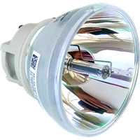 OPTOMA SP.7EH01GC01 (BL-FU200E) Lampa bez modułu
