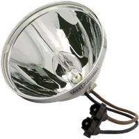 PHOENIX SHP61 Lampa bez modułu