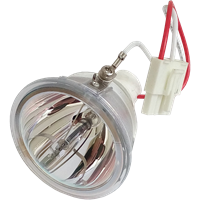 PHOENIX SHP88 Lampa bez modułu